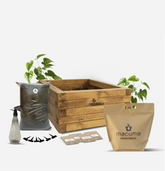 Kit Huerto Urbano Premium