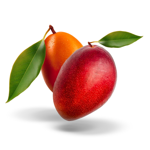 Árbol de Mango Miyazaki